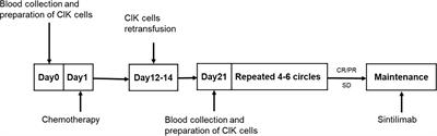 Sintilimab maintenance therapy post first-line cytokine-induced killer cells plus chemotherapy for extensive-stage small cell lung cancer